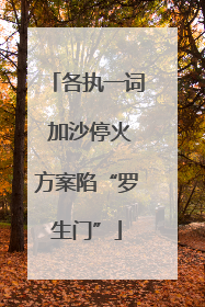 各执一词 加沙停火方案陷“罗生门”