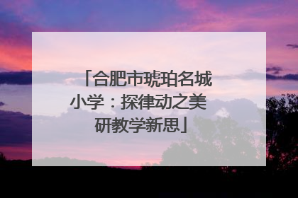 合肥市琥珀名城小学：探律动之美 研教学新思