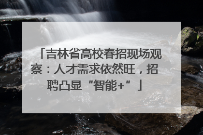 吉林省高校春招现场观察：人才需求依然旺，招聘凸显“智能+”