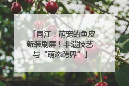 同江：萌宠的鱼皮新装刷屏！非遗技艺与“萌态跨界”