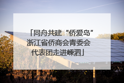 同舟共建“侨爱岛” 浙江省侨商会青委会代表团走进嵊泗