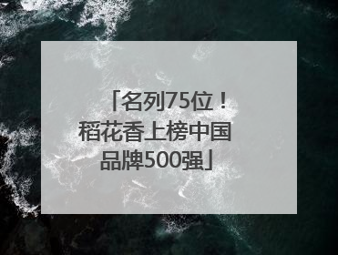 名列75位！稻花香上榜中国品牌500强