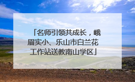 名师引领共成长，峨眉实小、乐山市白兰花工作站送教南山学区