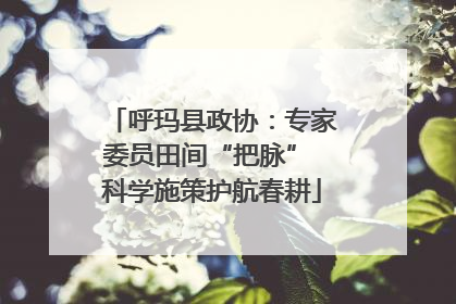 呼玛县政协：专家委员田间“把脉” 科学施策护航春耕