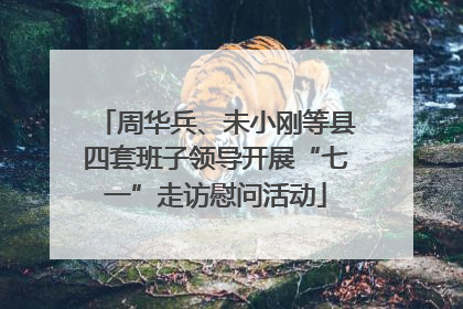 周华兵、未小刚等县四套班子领导开展“七一”走访慰问活动