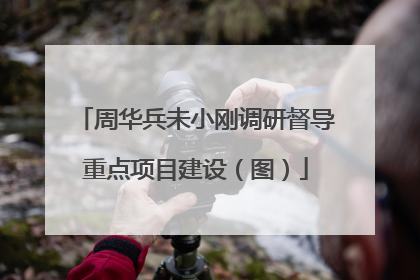 周华兵未小刚调研督导重点项目建设（图）