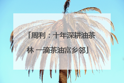 周利：十年深耕油茶林 一滴茶油富乡邻