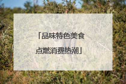 品味特色美食 点燃消费热潮