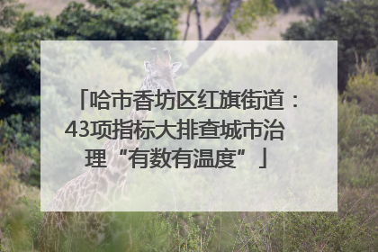 哈市香坊区红旗街道：43项指标大排查城市治理“有数有温度”