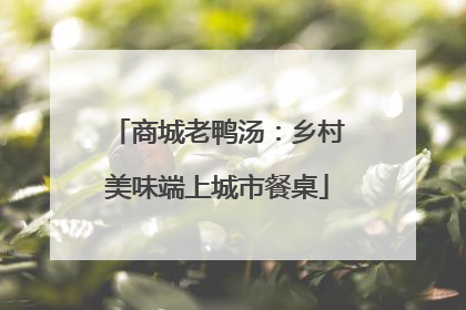 商城老鸭汤：乡村美味端上城市餐桌