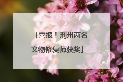 喜报！荆州两名文物修复师获奖