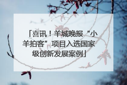 喜讯！羊城晚报“小羊拍客”项目入选国家级创新发展案例
