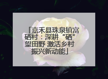 嘉禾县珠泉镇富硒村：深耕“硒”望田野 激活乡村振兴新动能