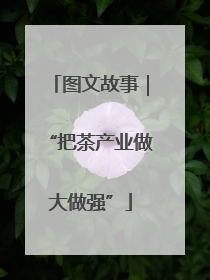 图文故事｜“把茶产业做大做强”