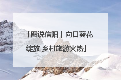 图说信阳｜向日葵花绽放 乡村旅游火热