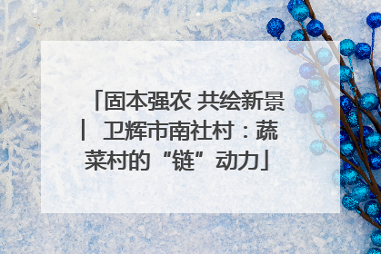 固本强农 共绘新景 ︳卫辉市南社村：蔬菜村的“链”动力