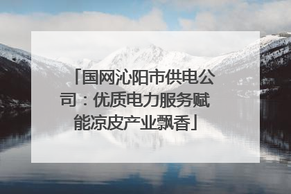 国网沁阳市供电公司：优质电力服务赋能凉皮产业飘香