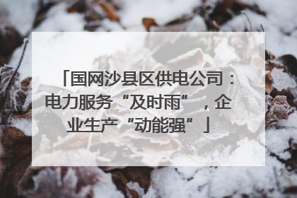 国网沙县区供电公司：电力服务“及时雨”，企业生产“动能强”