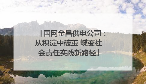 国网金昌供电公司：从积淀中破茧 蝶变社会责任实践新路径