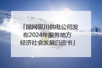 国网银川供电公司发布2024年服务地方经济社会发展白皮书