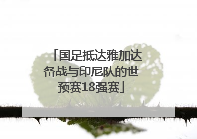 国足抵达雅加达备战与印尼队的世预赛18强赛
