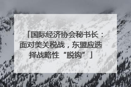 国际经济协会秘书长：面对美关税战，东盟应选择战略性“脱钩”