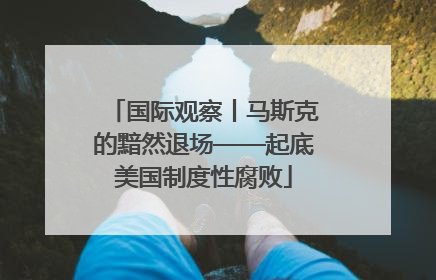 国际观察丨马斯克的黯然退场——起底美国制度性腐败