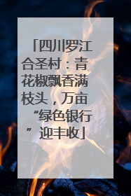 四川罗江合圣村：青花椒飘香满枝头，万亩“绿色银行”迎丰收
