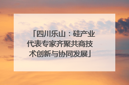 四川乐山：硅产业代表专家齐聚共商技术创新与协同发展