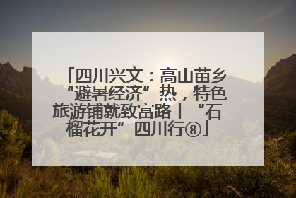 四川兴文：高山苗乡“避暑经济”热，特色旅游铺就致富路丨“石榴花开”四川行⑧