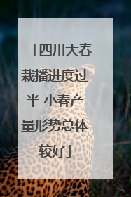 四川大春栽播进度过半 小春产量形势总体较好