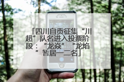 四川自贡征集“川超”队名进入投票阶段：“龙焱”“龙焰”暂居一二名