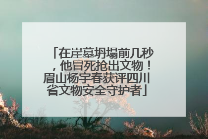 在崖墓坍塌前几秒，他冒死抢出文物！眉山杨宇春获评四川省文物安全守护者