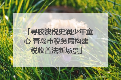寻胶澳税史润少年童心 青岛市税务局构建税收普法新场景