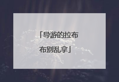 导游的拉布布别乱拿