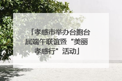 孝感市举办台胞台属端午联谊暨“美丽孝感行”活动