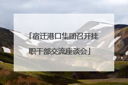 宿迁港口集团召开挂职干部交流座谈会