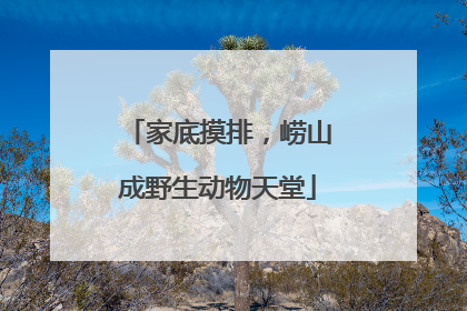 家底摸排，崂山成野生动物天堂