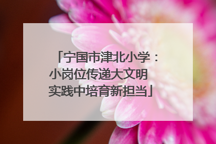 宁国市津北小学：小岗位传递大文明 实践中培育新担当
