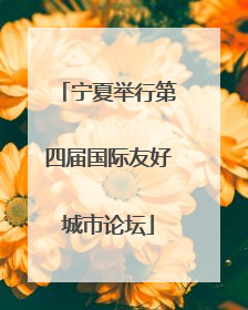 宁夏举行第四届国际友好城市论坛