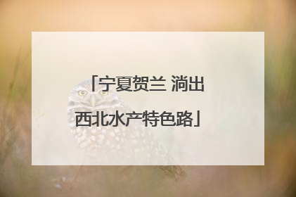 宁夏贺兰 淌出西北水产特色路