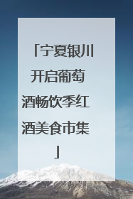宁夏银川 开启葡萄酒畅饮季红酒美食市集