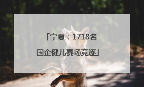 宁夏：1718名国企健儿赛场竞逐