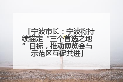 宁波市长：宁波将持续锚定“三个首选之地”目标，推动博览会与示范区互促共进