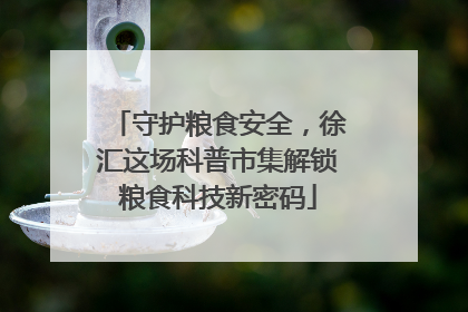 守护粮食安全，徐汇这场科普市集解锁粮食科技新密码