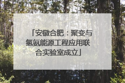 安徽合肥：聚变与氢氨能源工程应用联合实验室成立