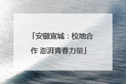 安徽宣城：校地合作 澎湃青春力量