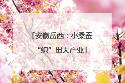 安徽岳西：小桑蚕“织”出大产业