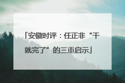 安徽时评：任正非“干就完了”的三重启示
