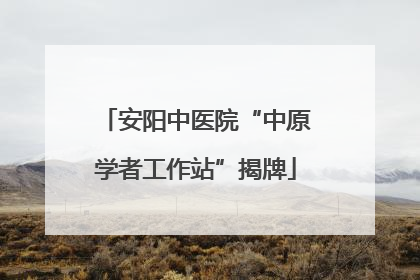安阳中医院“中原学者工作站”揭牌